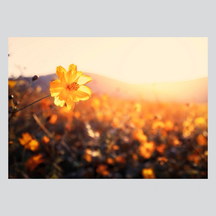 214 Sonnenaufgang