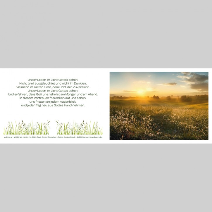 230+ Wildgras mit Innentext