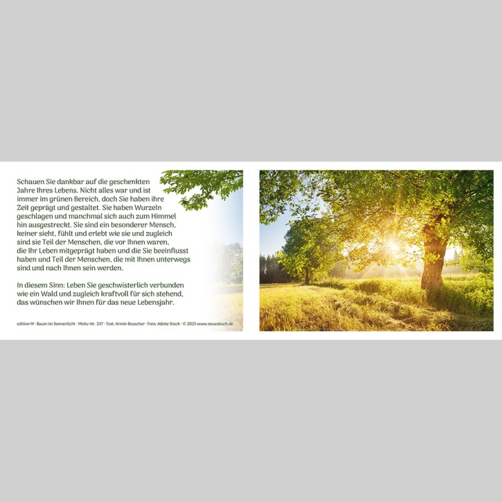 237+ Baum im Sonnenlicht mit Innentext