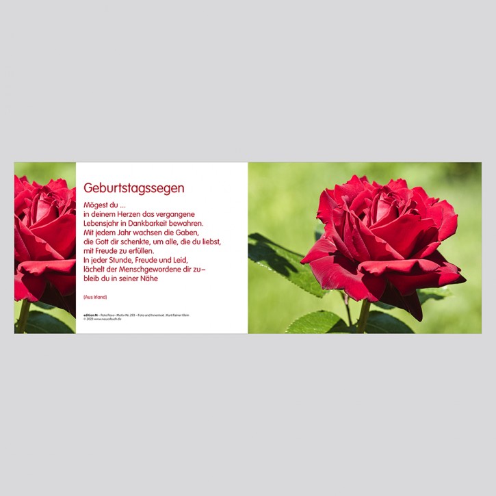 293+ Rote Rose mit Innentext