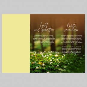 Leporello: Wald + Baum
