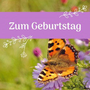 Gute Wünsche - Zum Geburtstag