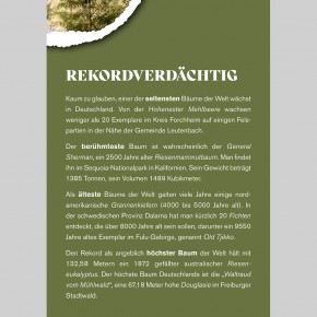 Bäume erzählen vom Leben