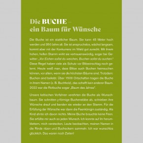 Bäume erzählen vom Leben
