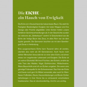 Bäume erzählen vom Leben