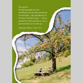 Bäume erzählen vom Leben