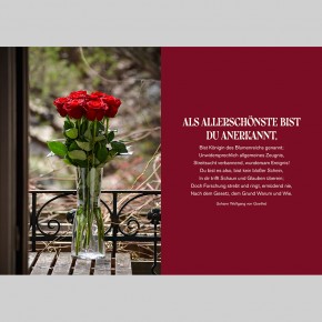 Auf Rosen gebettet