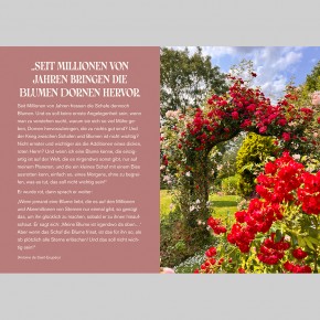 Auf Rosen gebettet