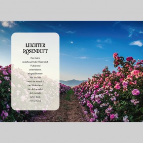 Auf Rosen gebettet