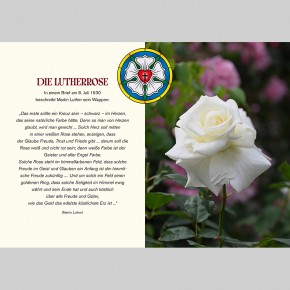 Auf Rosen gebettet