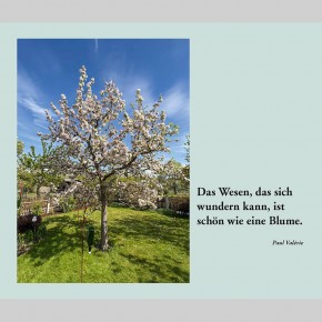 Liturgischer Kalender 2027